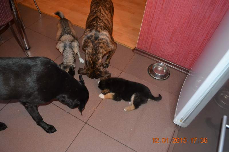 DSC_6713.JPG