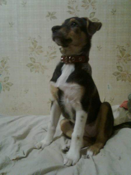 Фото0804.jpeg
