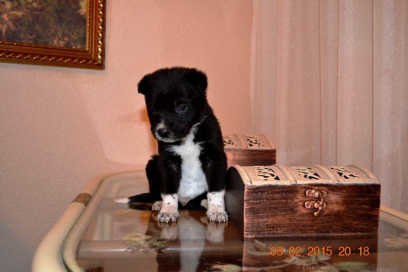 DSC_6877.JPG