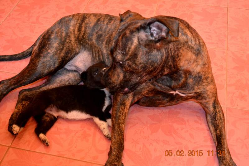 DSC_6886.JPG