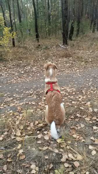 20141004_175052.jpg