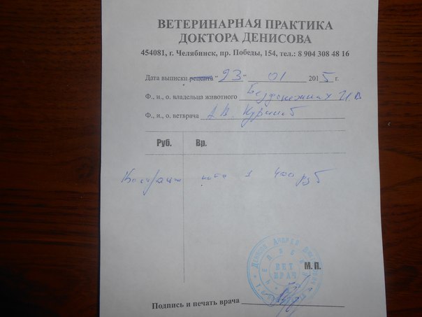 qEFyAurRFN8.jpg