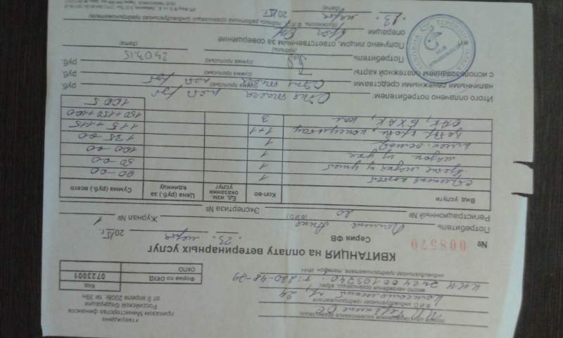 20150325_165649.jpg