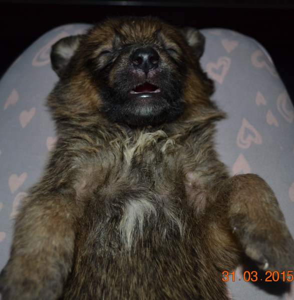DSC_7187.JPG