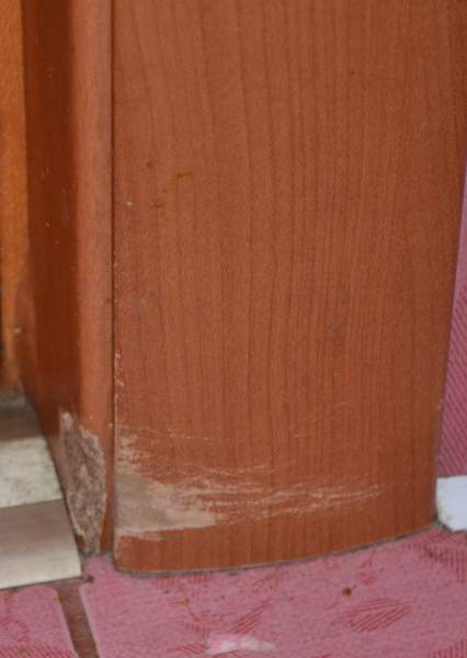 DSC_7306.JPG
