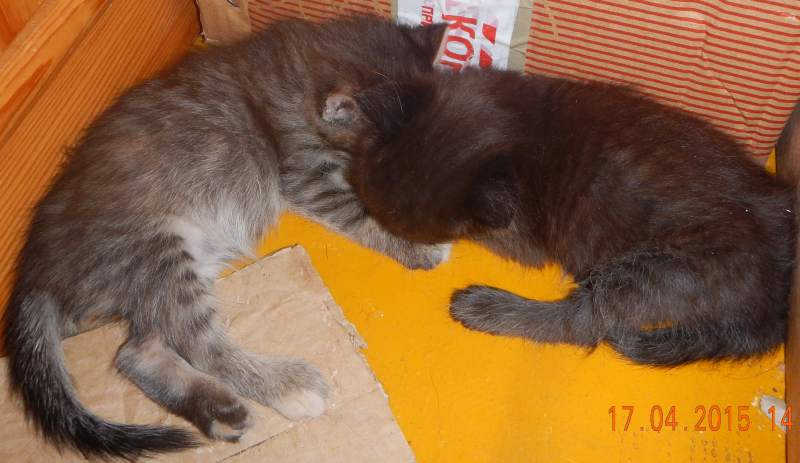 DSCN2258.JPG