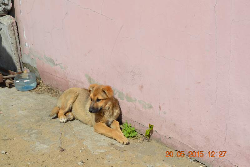 DSC_7472.JPG