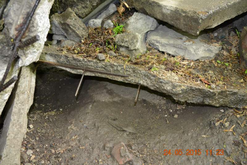 DSC_7488.JPG