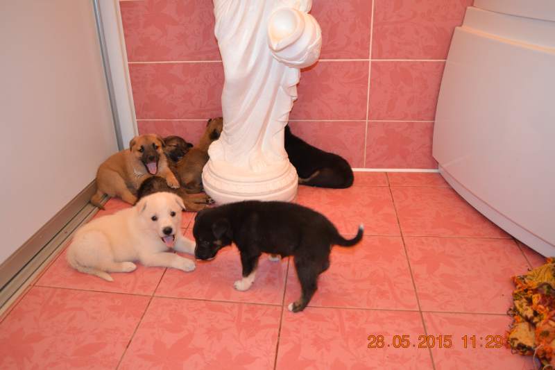 DSC_7522.JPG