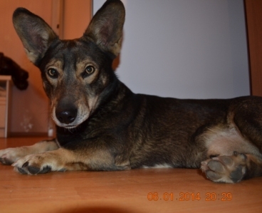 DSC_3085.JPG