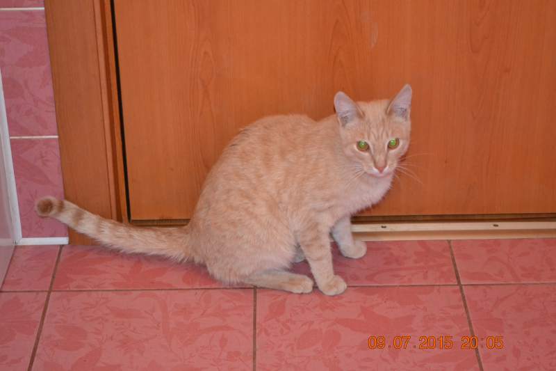 DSC_7859.JPG