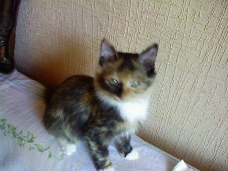 Photo-0614.jpg