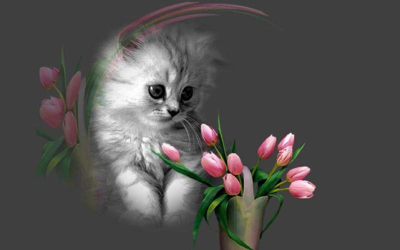 325650__cute_p.jpg