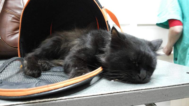 20150822_150329[1].jpg