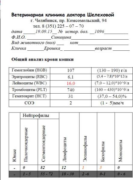 анализ крови.jpg