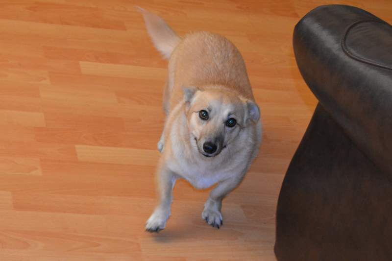 DSC_8235_croped.JPG