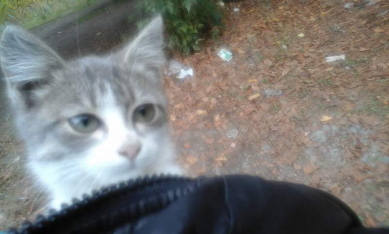 20150925_151846.jpg