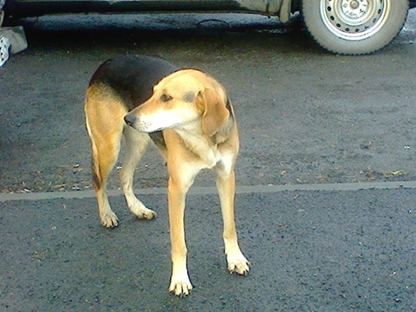 7cF3QzNOspI.jpg