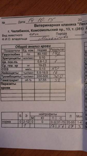 UBEuZp_4O1E.jpg
