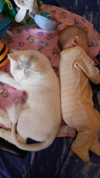 20150610_114814.jpg