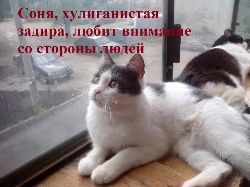 2EYaK4kUYcU.jpg