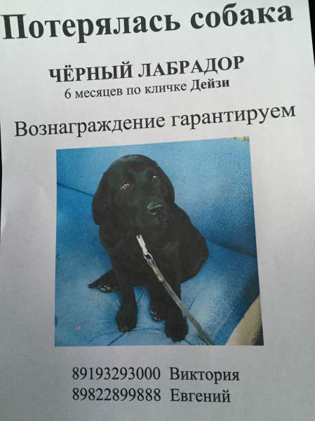 image.jpeg