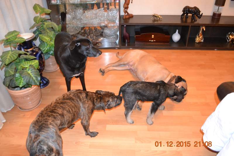 DSC_8532.JPG