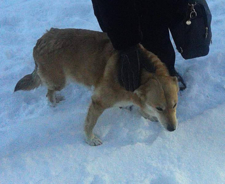 20140119_140611.jpg