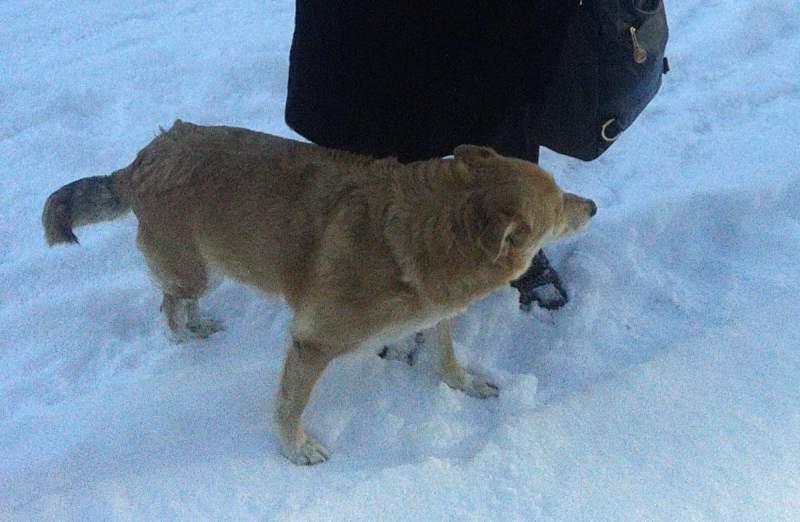 20140119_140615.jpg