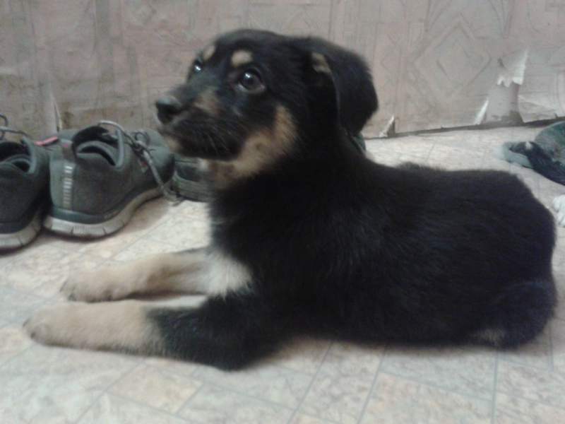 20151028_203447.jpg