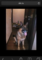 ^C55A09D81900C36E176082B93BB8FA7B753CBD6EE7F4F245C5^pimgpsh_thumbnail_win_distr.jpg