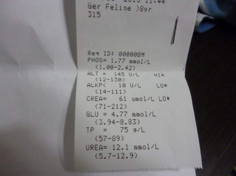 xILI5WnCu8g.jpg