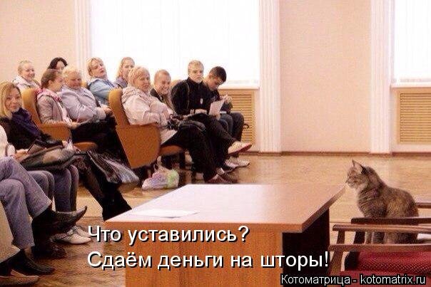 1433524446_kotomatricy-11.jpg