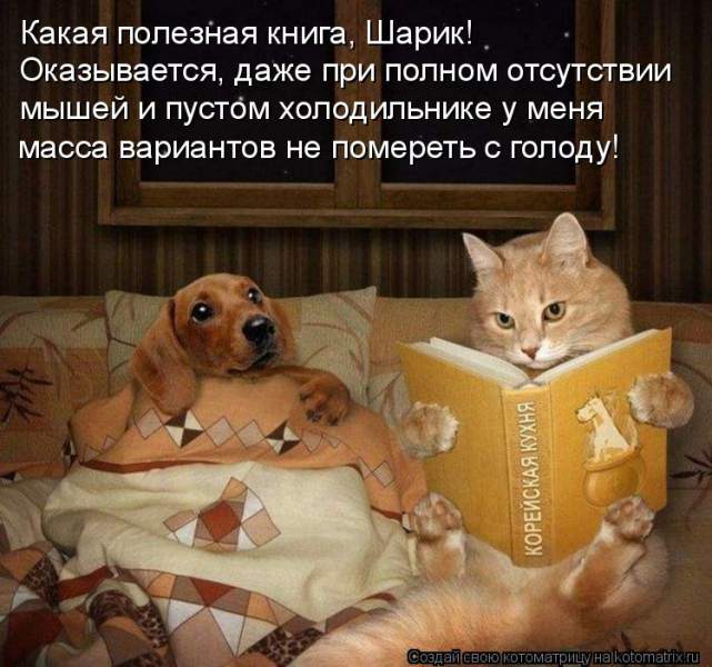 kotomatritsa_l.jpg