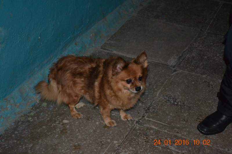 DSC_8718.JPG