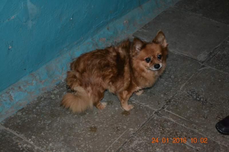 DSC_8717.JPG