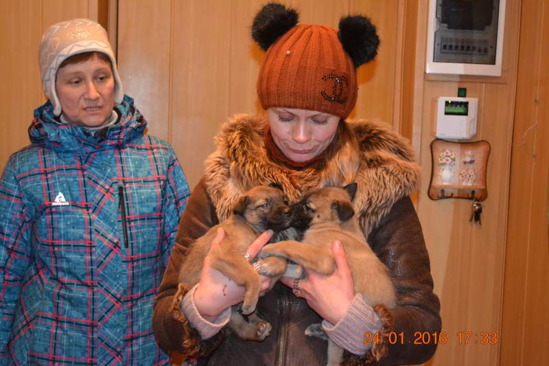 DSC_8720.JPG