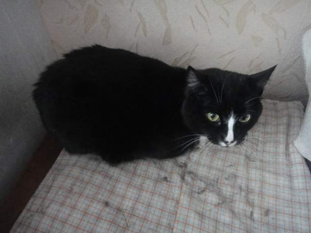 DSC02526.JPG