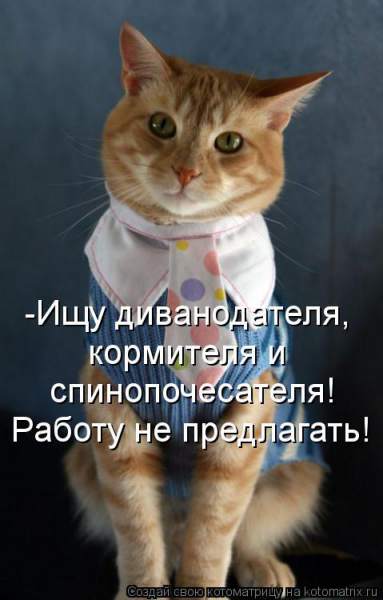 9506860498106786_0ed11f93.jpg