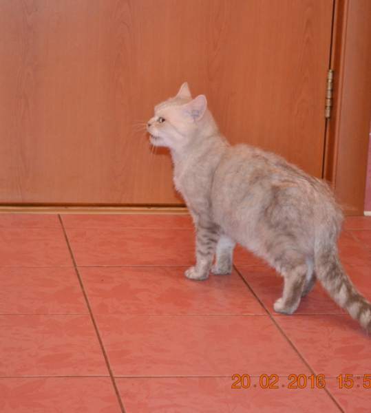 editor_1455964113_CduIVAGl.jpg