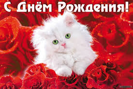 download.jpg
