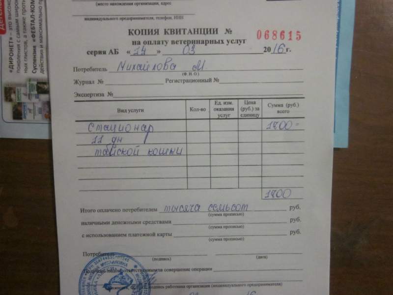 чек.jpg