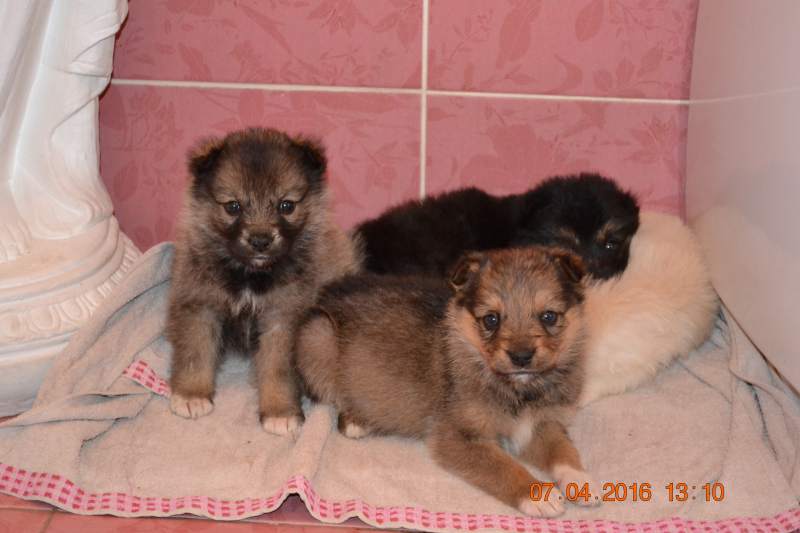 DSC_9132.JPG