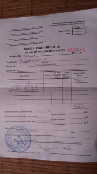 чек1.jpg