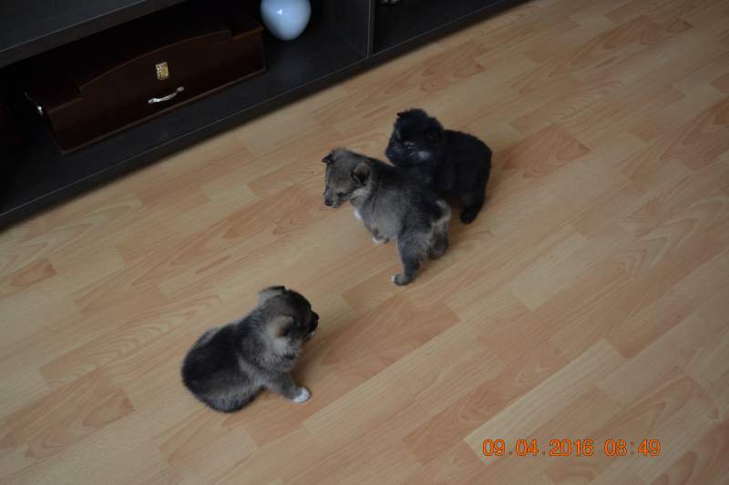 DSC_9138.JPG