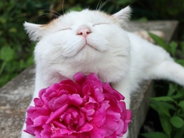 phoca_thumb_l_journalistblog.ru-0025.jpg