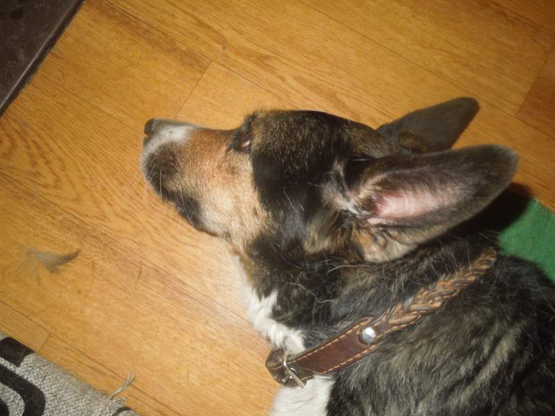 DSCN2410.JPG