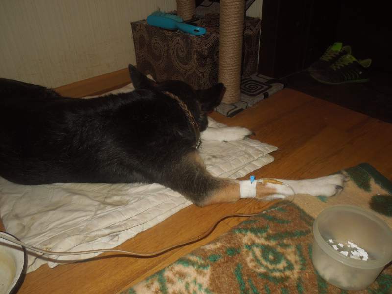 DSCN2412.JPG