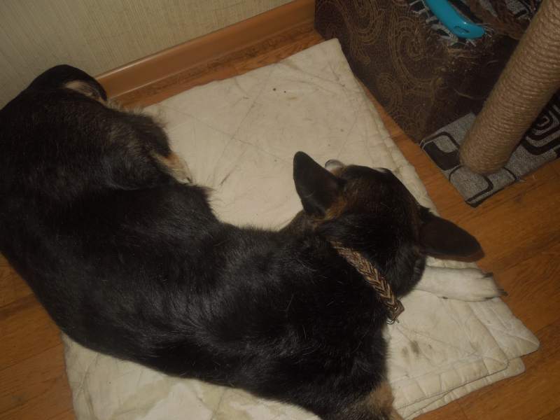 DSCN2413.JPG
