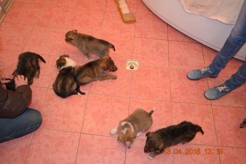 DSC_9158.JPG